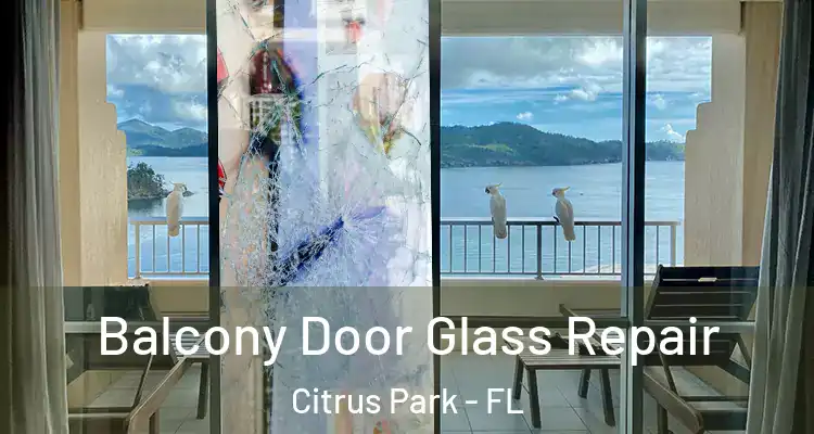  Balcony Door Glass Repair Citrus Park - FL