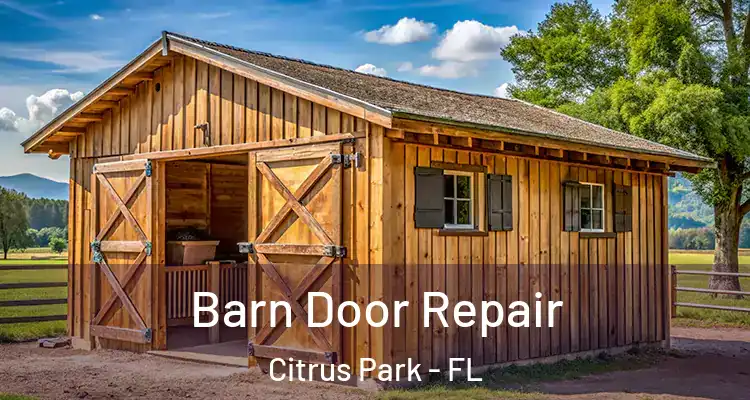  Barn Door Repair Citrus Park - FL