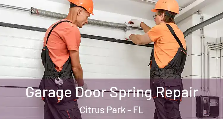  Garage Door Spring Repair Citrus Park - FL