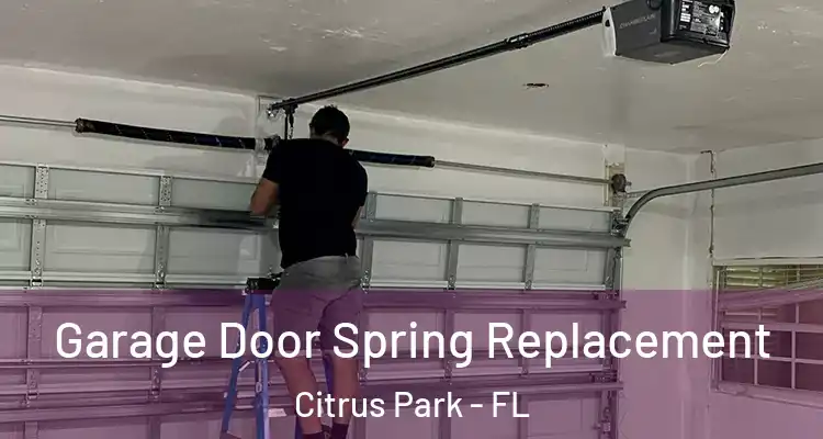  Garage Door Spring Replacement Citrus Park - FL
