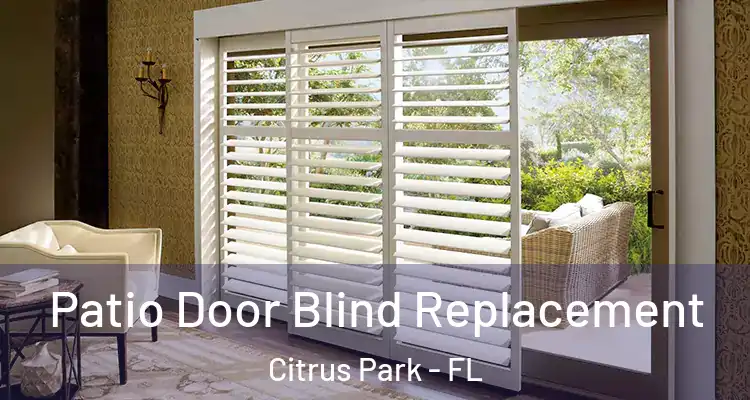  Patio Door Blind Replacement Citrus Park - FL