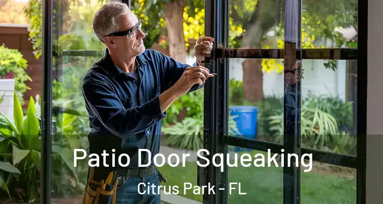  Patio Door Squeaking Citrus Park - FL