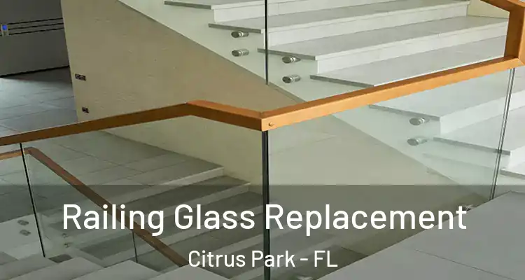  Railing Glass Replacement Citrus Park - FL