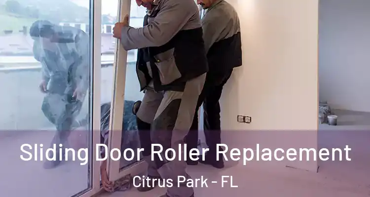 Sliding Door Roller Replacement Citrus Park - FL