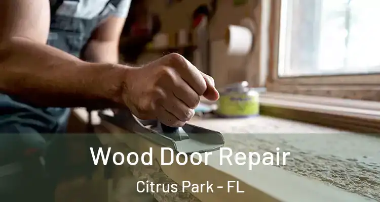  Wood Door Repair Citrus Park - FL
